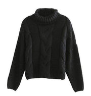 Knitted Turtleneck Sweater - ByDivStore