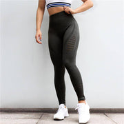 Women's Seamless Shark Yoga Pants - ByDivStore
