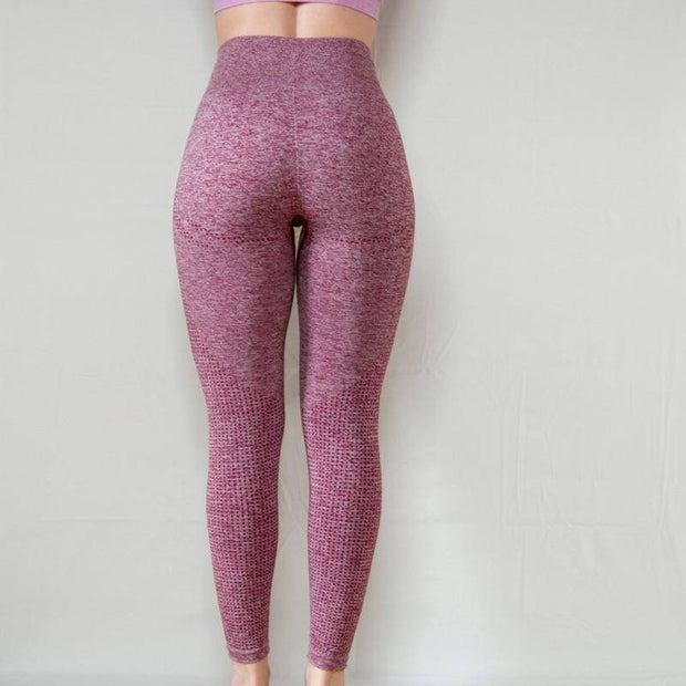 Women's Vital Seamless Yoga Pants - ByDivStore