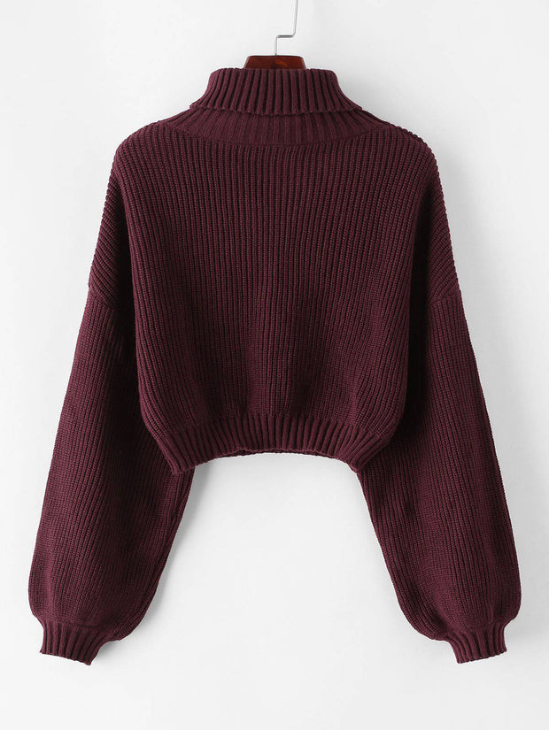Roll Neck Cropped Sweater - ByDivStore