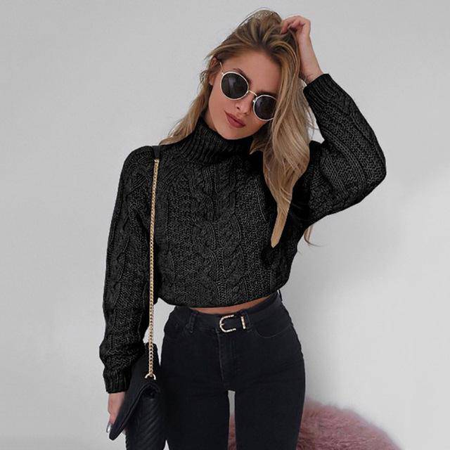 Twisted Turtleneck Sweater - ByDivStore