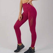 Women's Seamless Shark Yoga Pants - ByDivStore